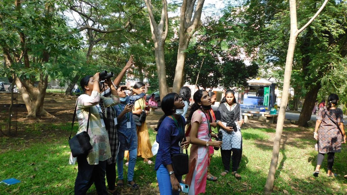 A college makes it to the number 2 position on eBird checklist leaders’ list for Chennai in 2025